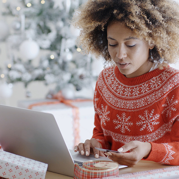 Woman doing her holiday shopping on the computer